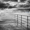 Whitehead with a splash of colour